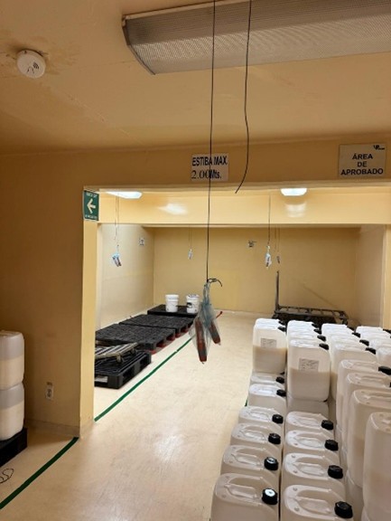 Imagen2